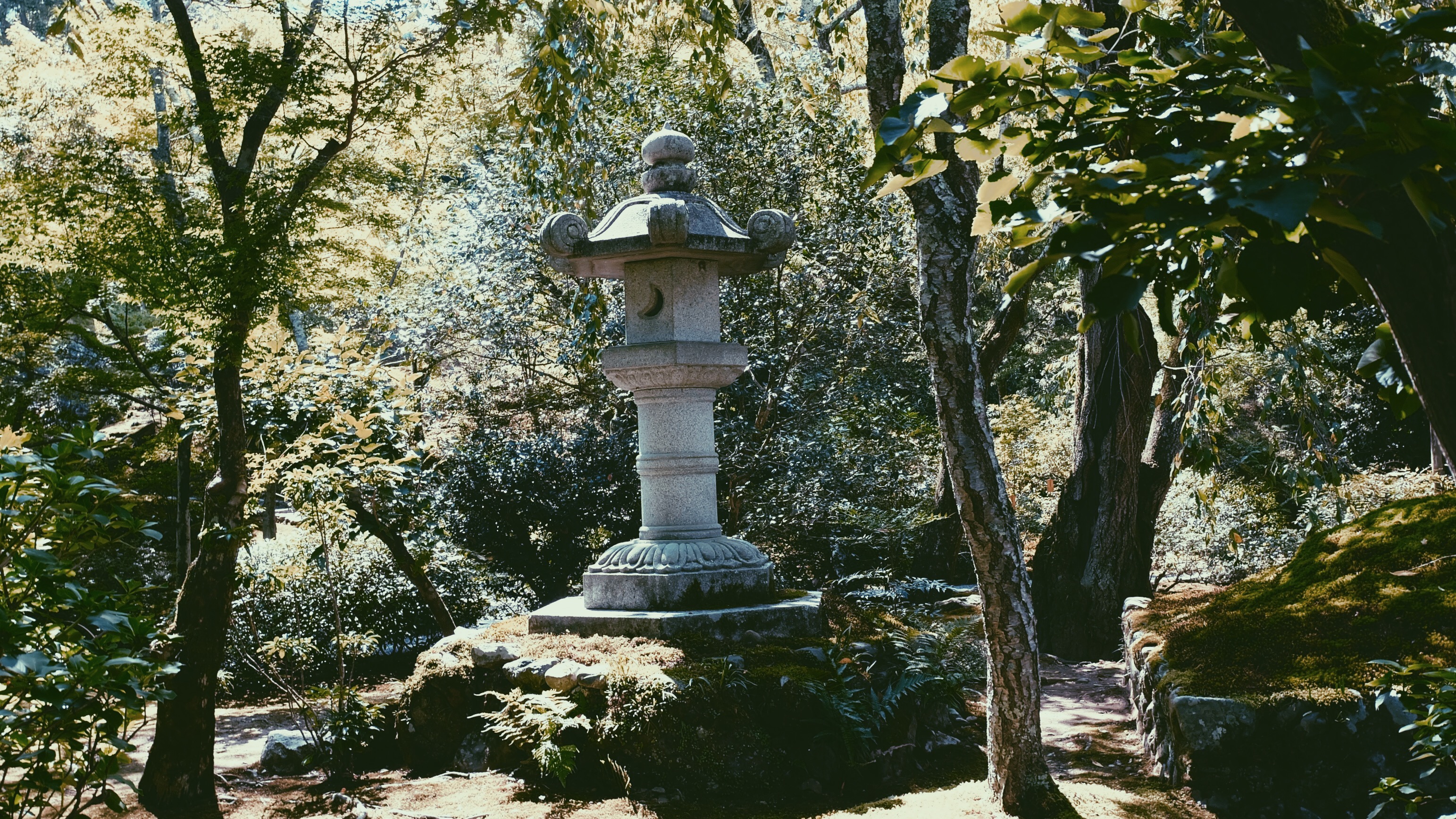 Processed with VSCO with p5 preset