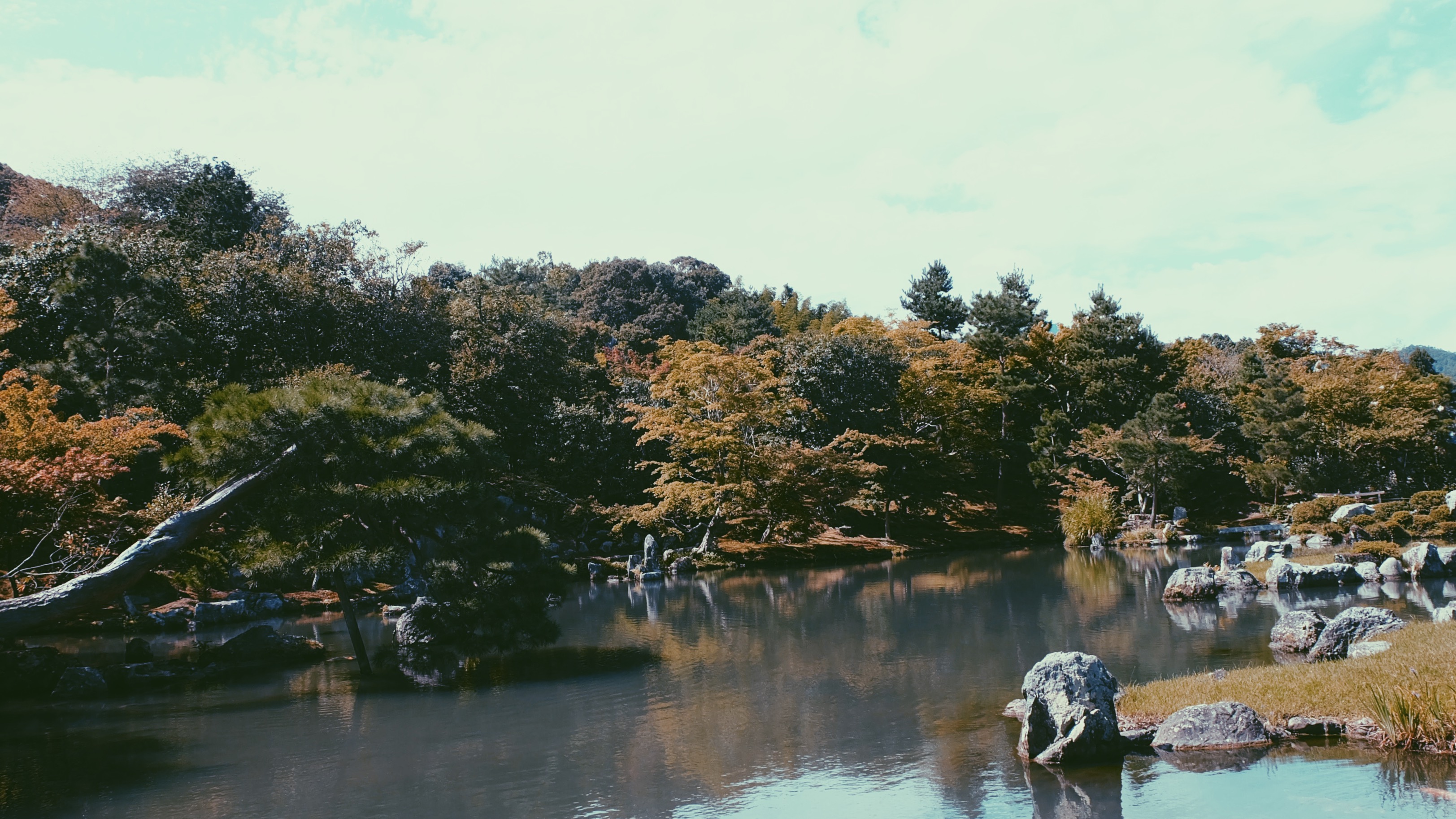 Processed with VSCO with p5 preset