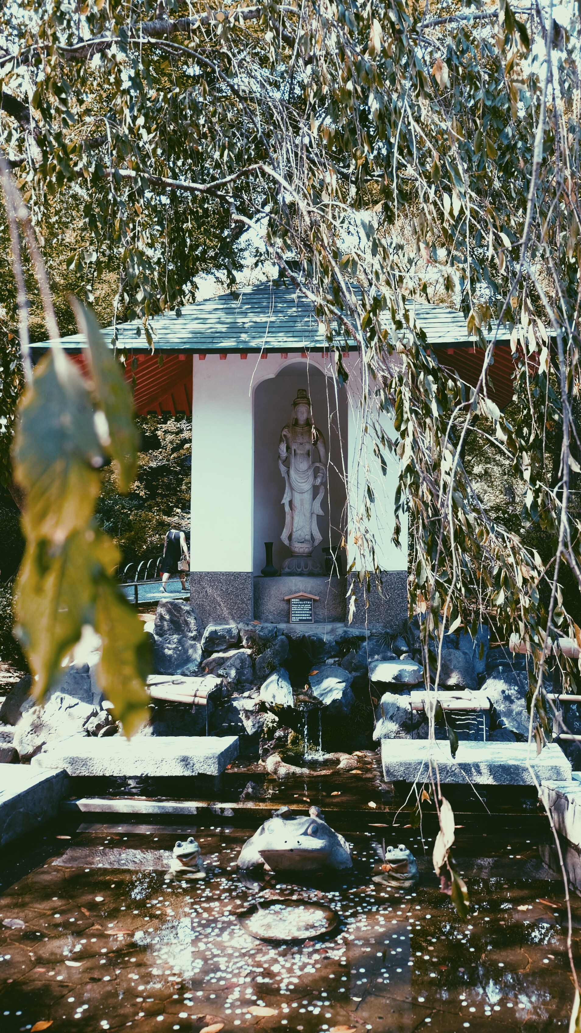 Processed with VSCO with p5 preset