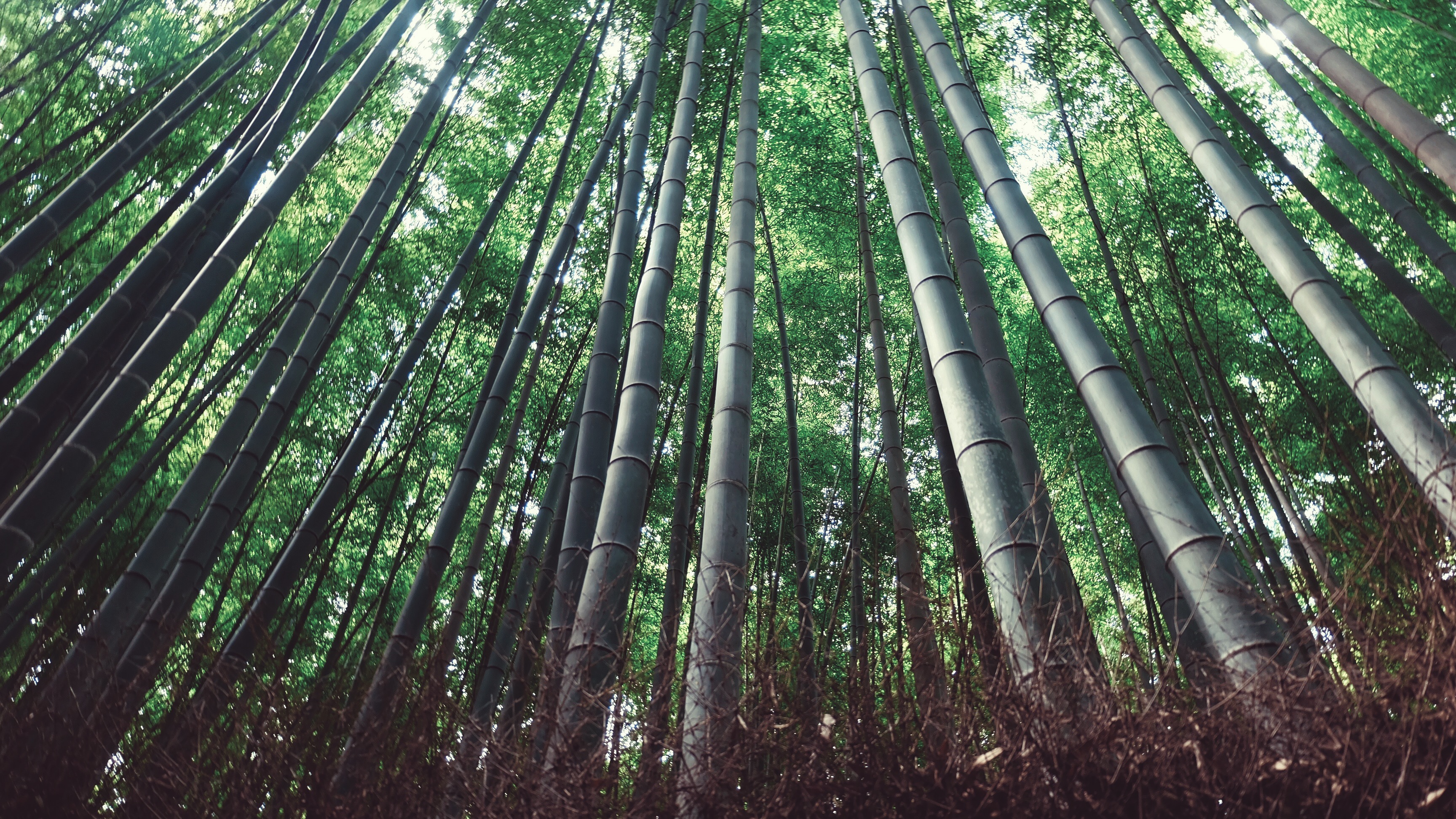 Processed with VSCO with acg preset