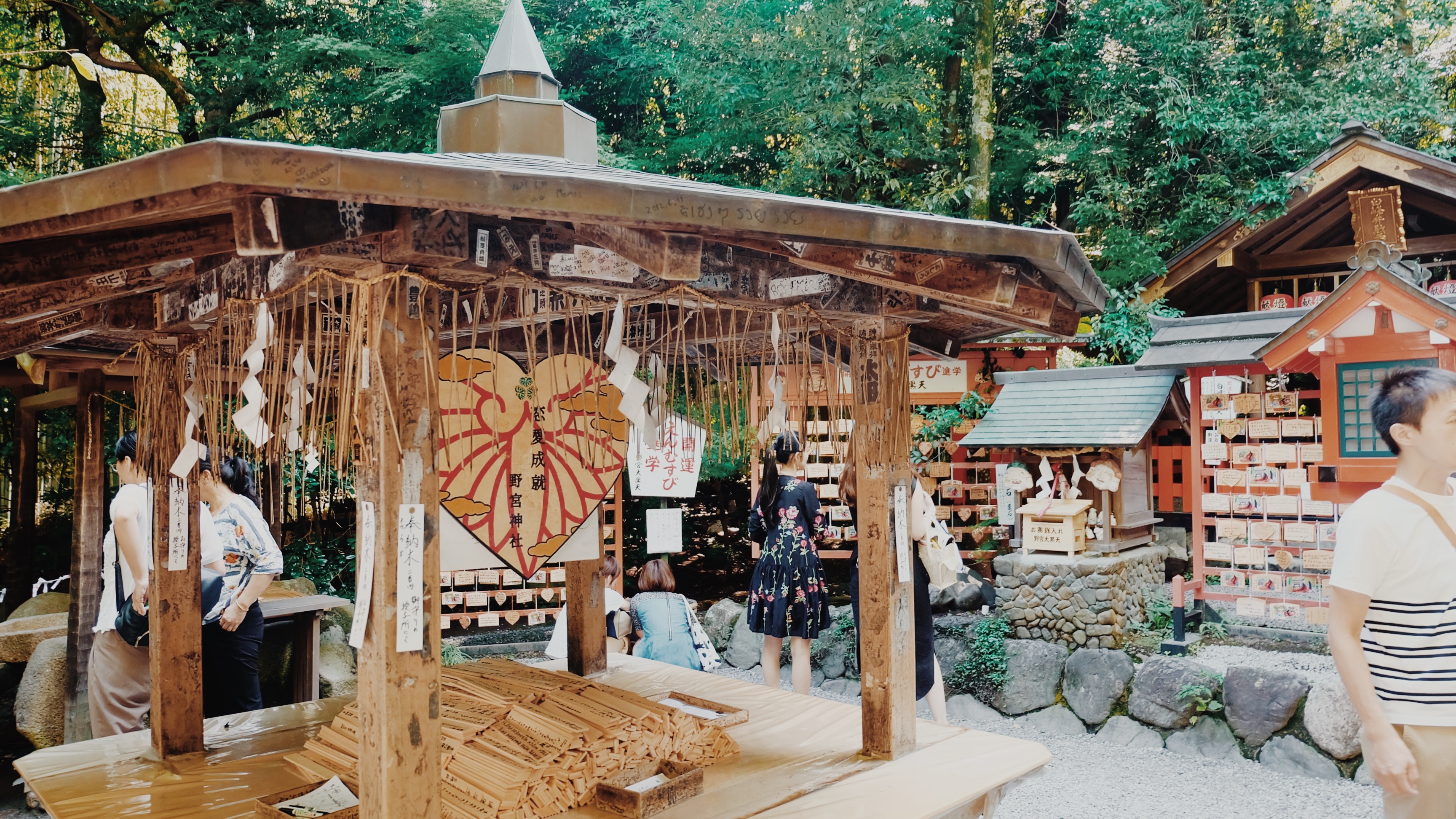 Processed with VSCO with m5 preset