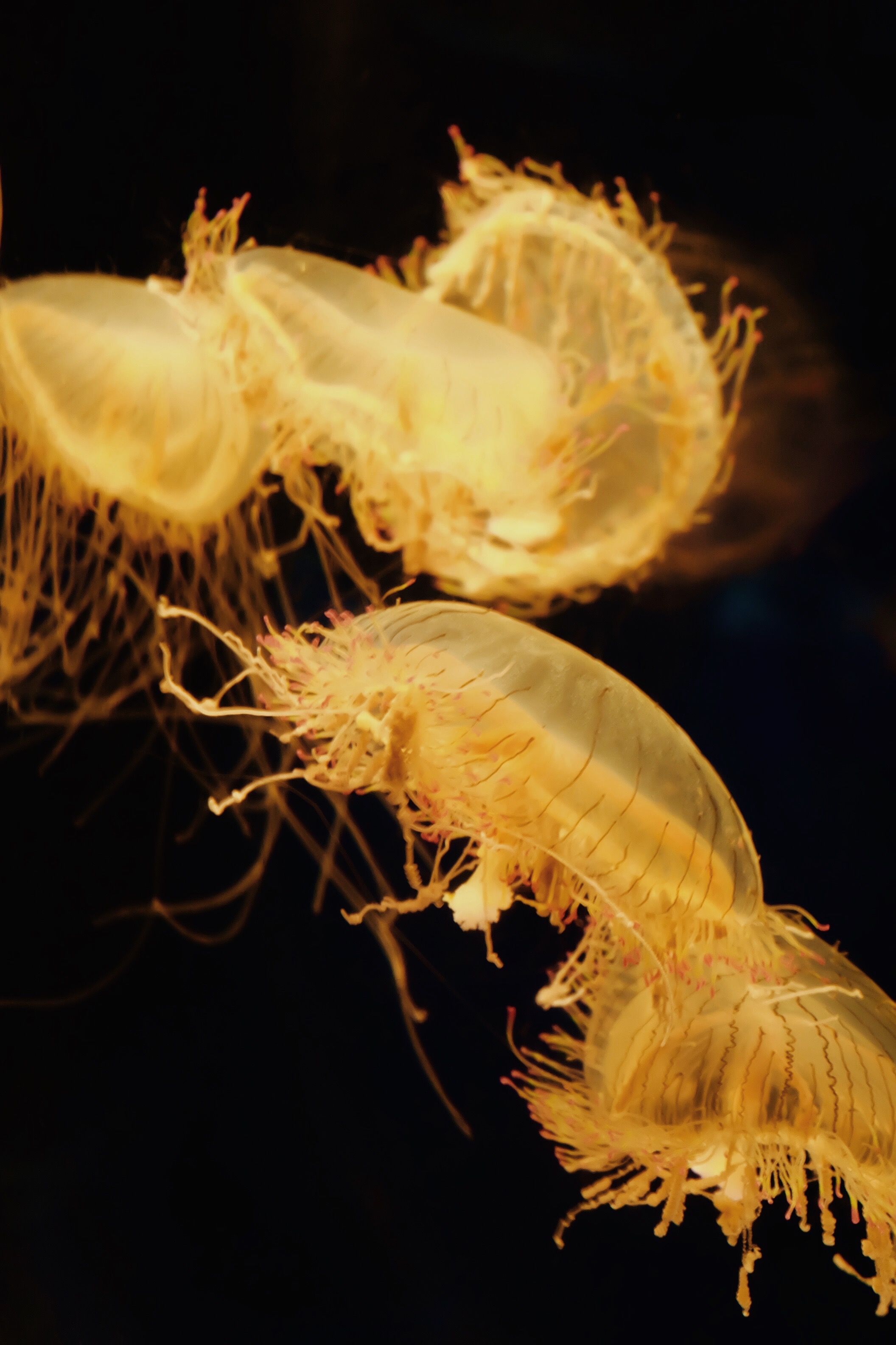 Processed with VSCO with m5 preset