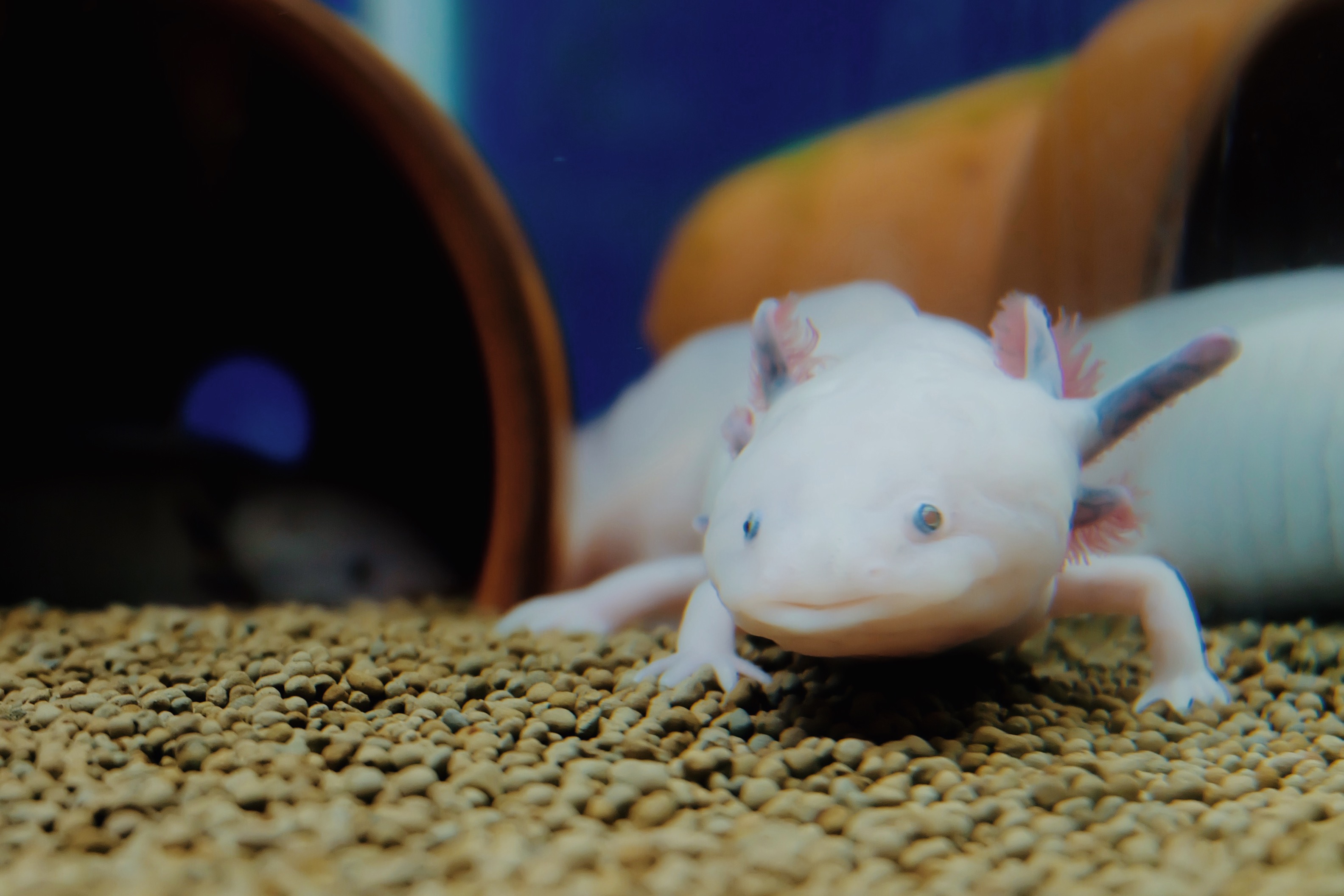 Processed with VSCO with m5 preset