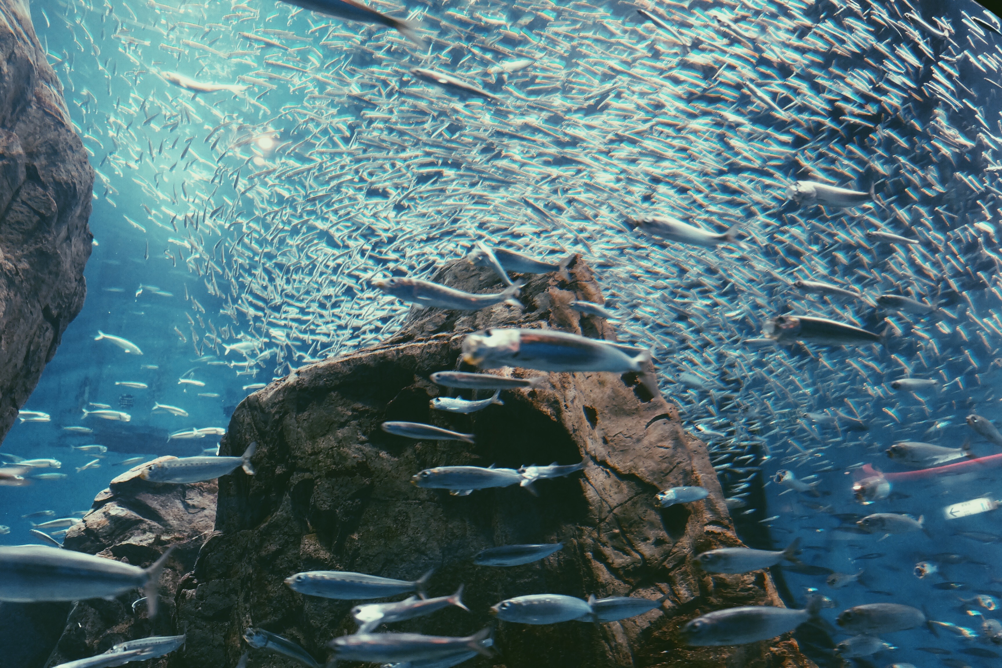 Processed with VSCO with p5 preset