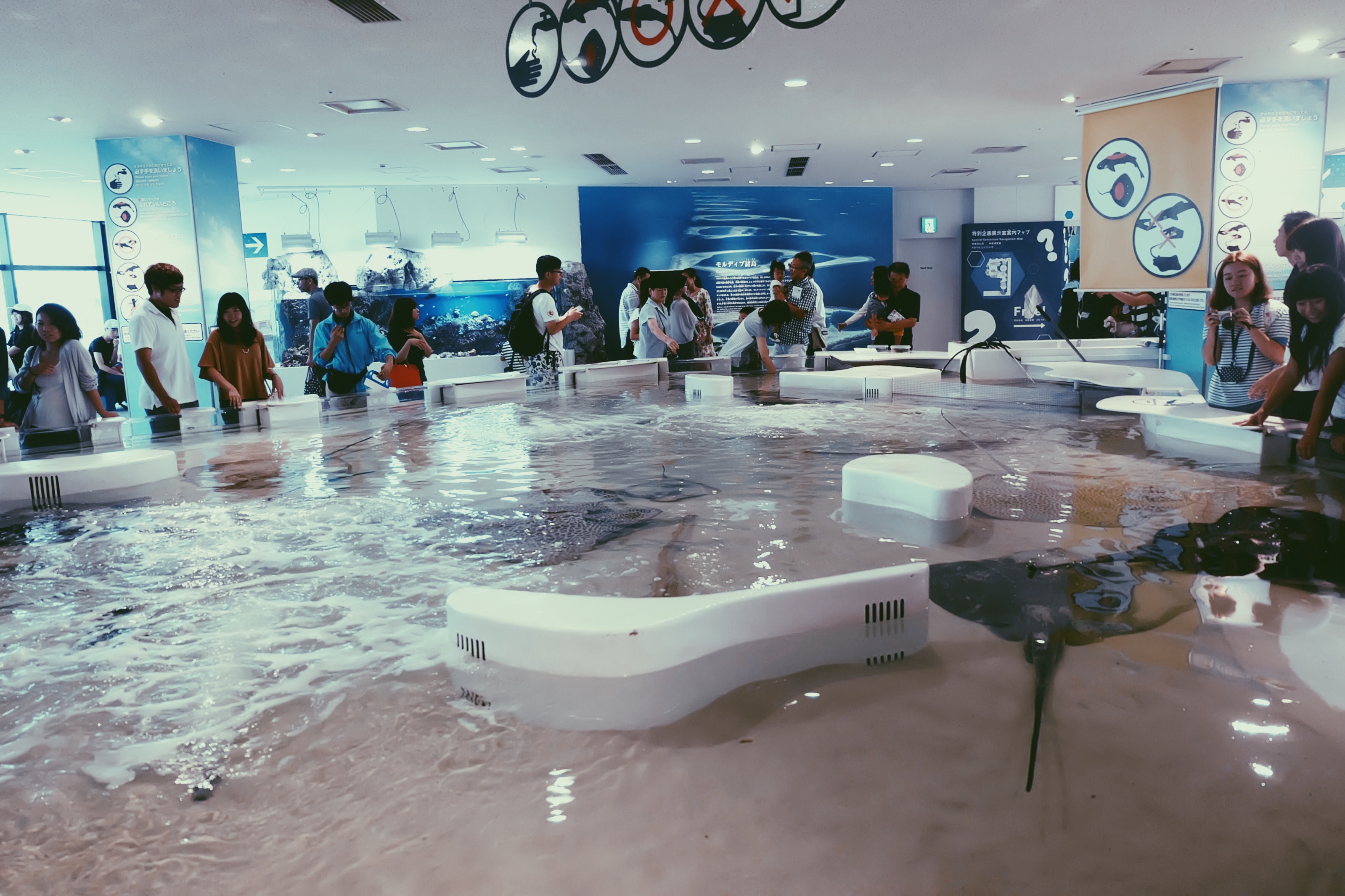 Processed with VSCO with p5 preset