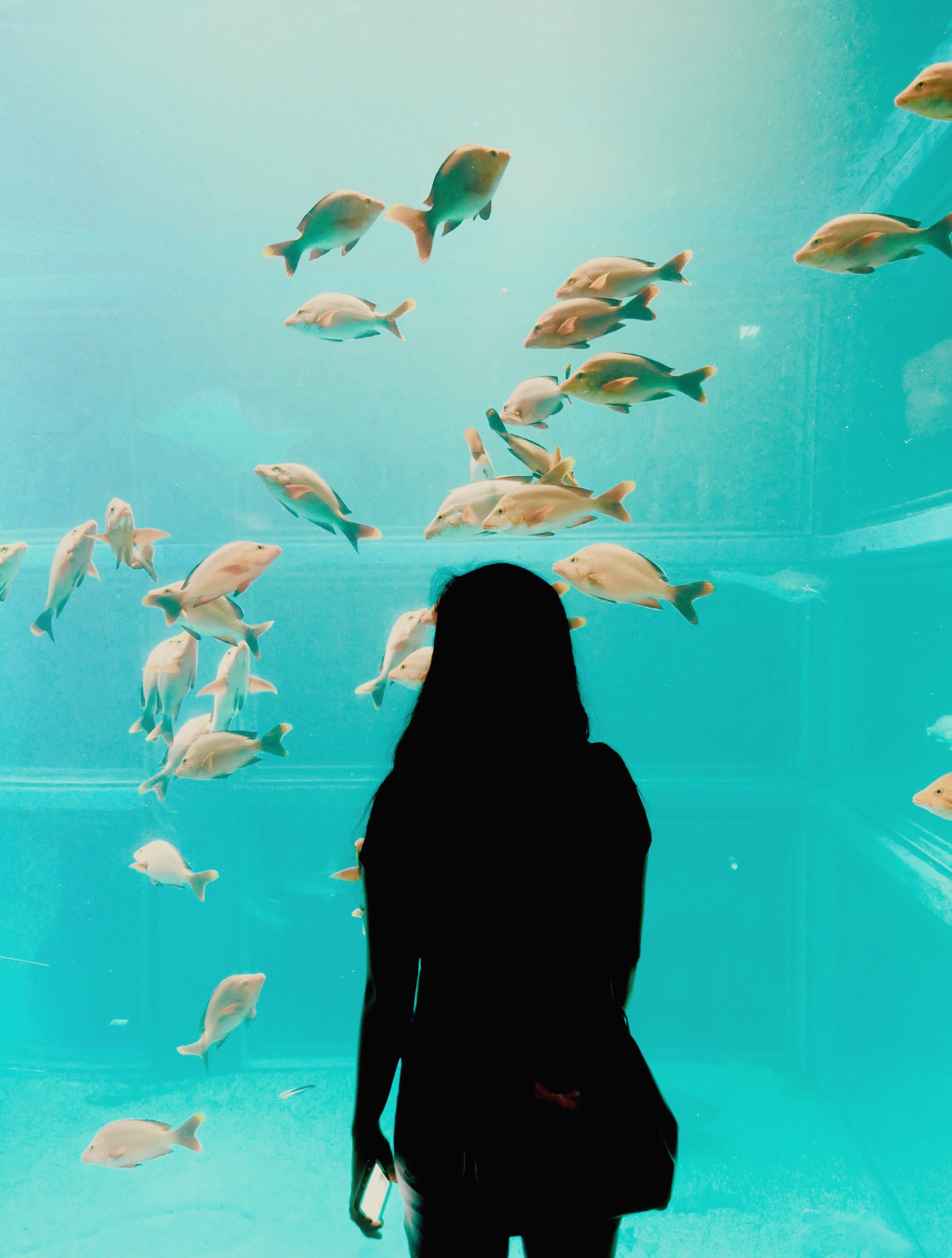 Processed with VSCO with m5 preset