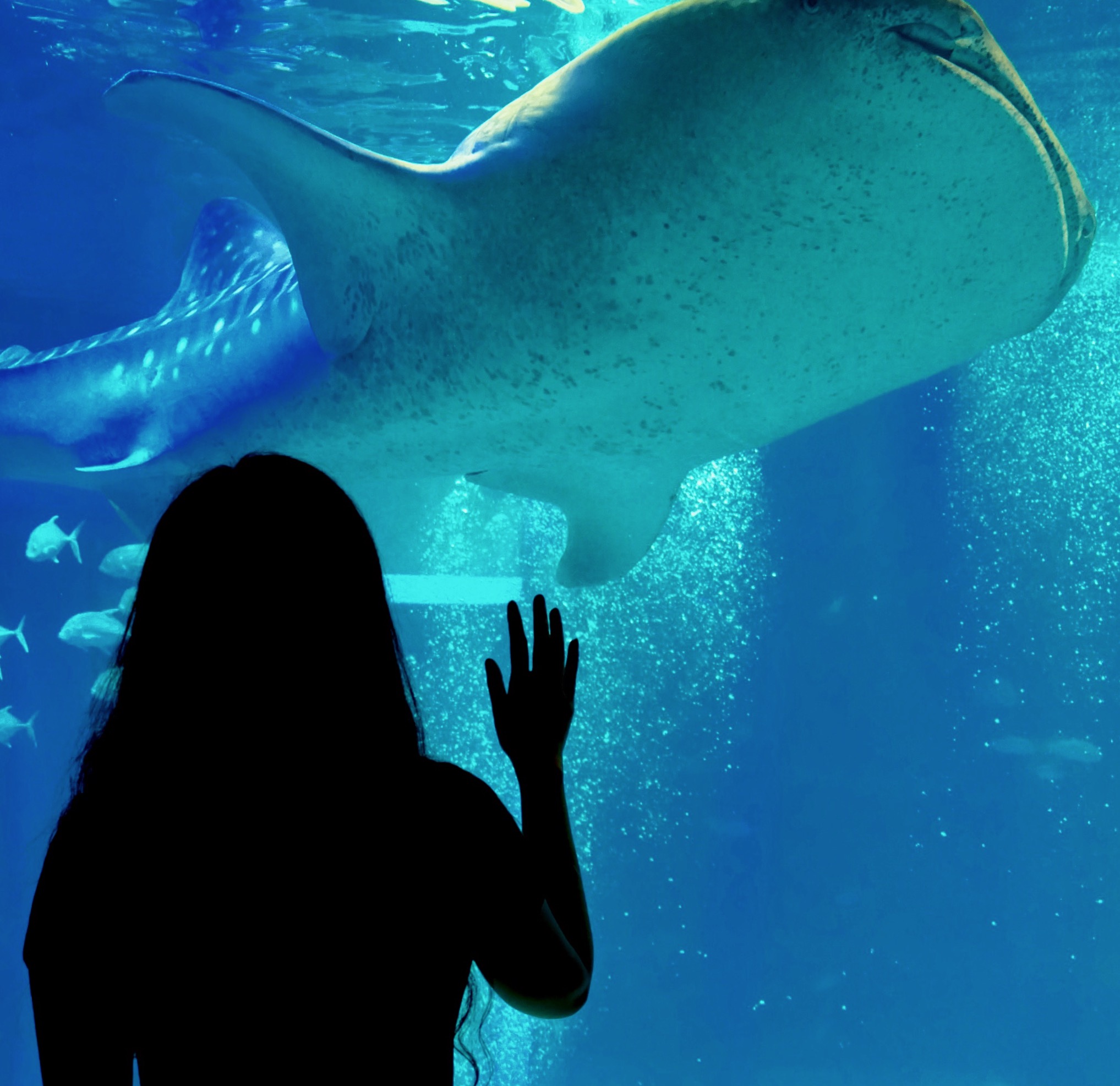 Processed with VSCO with nc preset