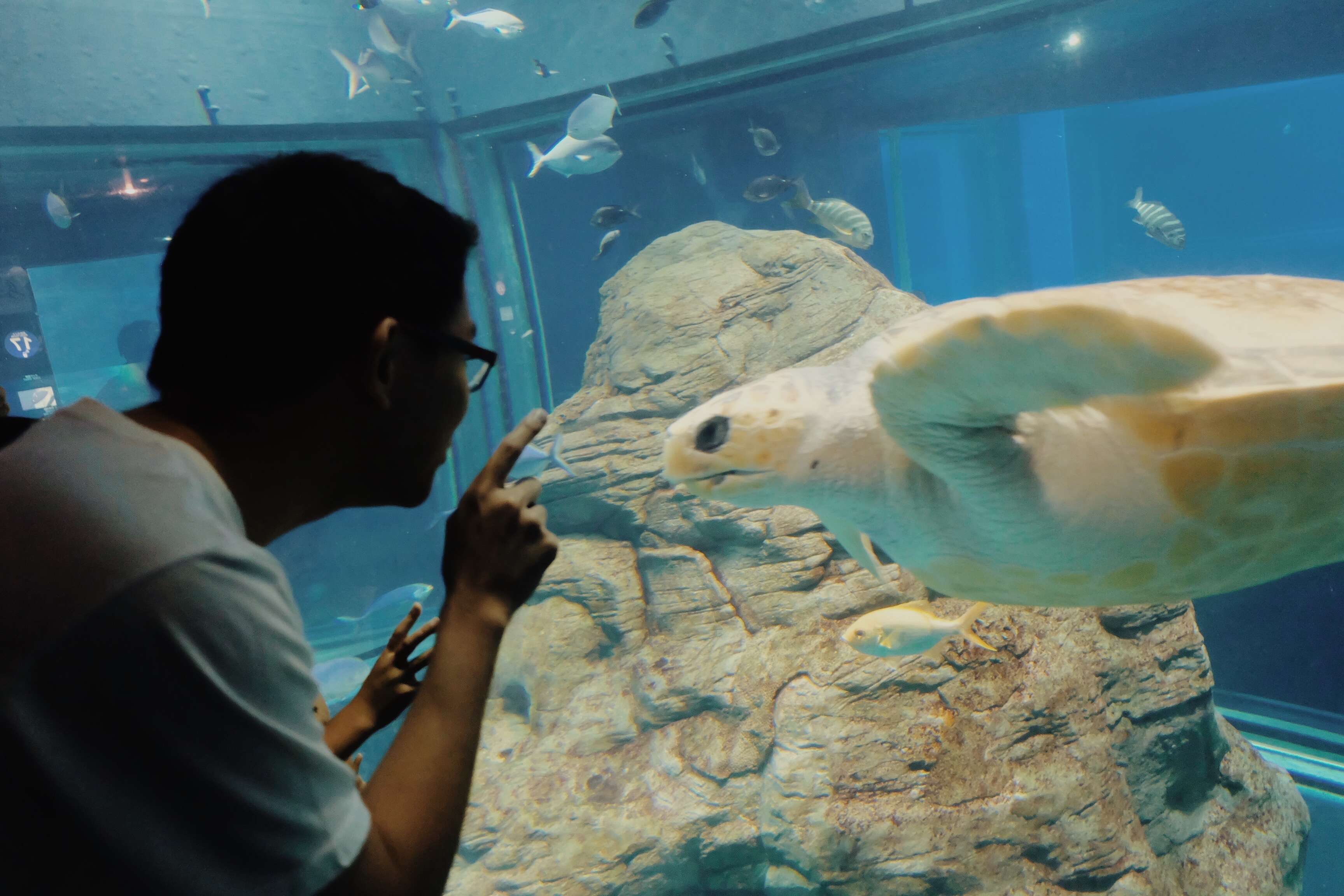 Processed with VSCO with m5 preset