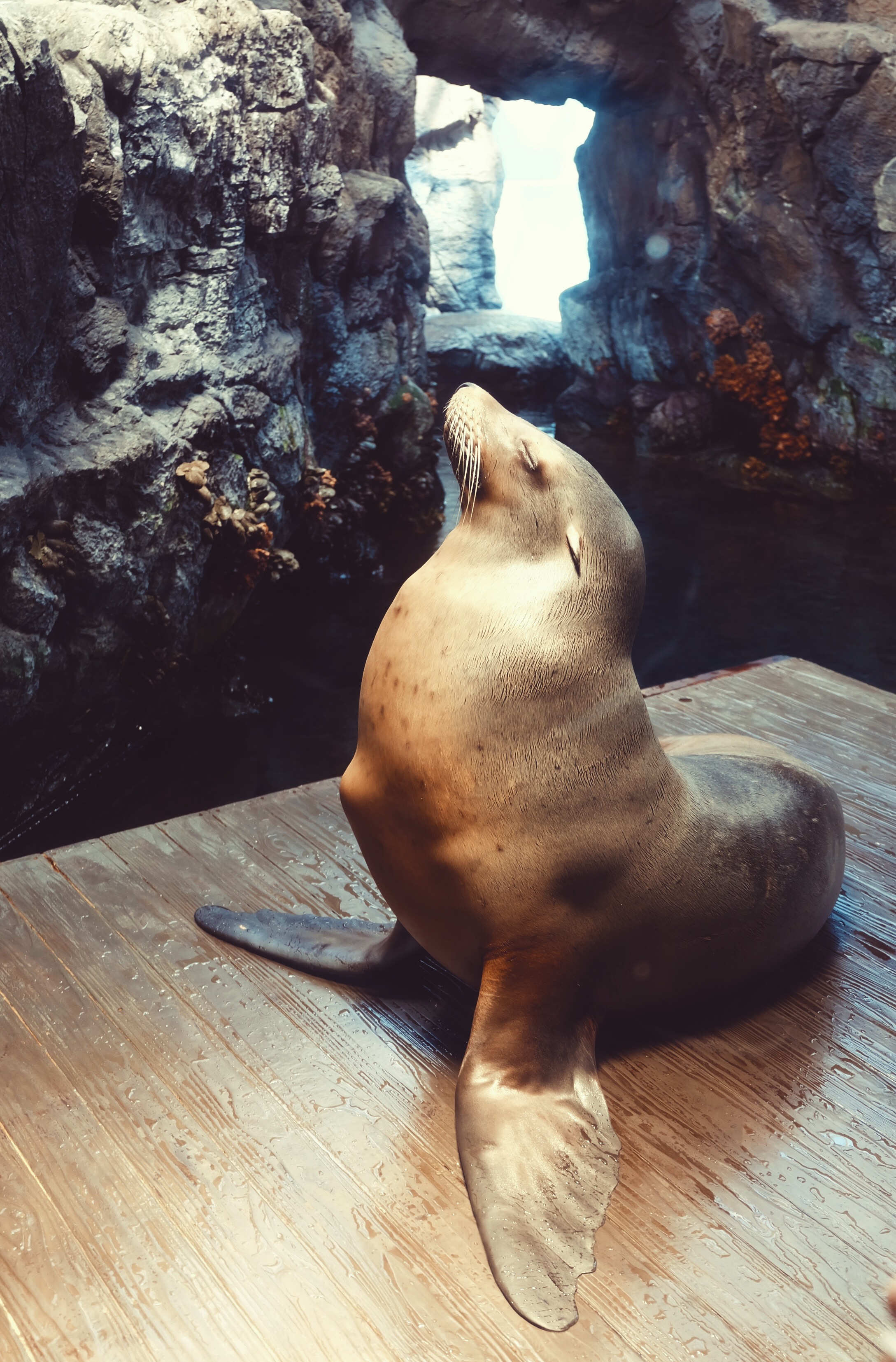 Processed with VSCO with acg preset