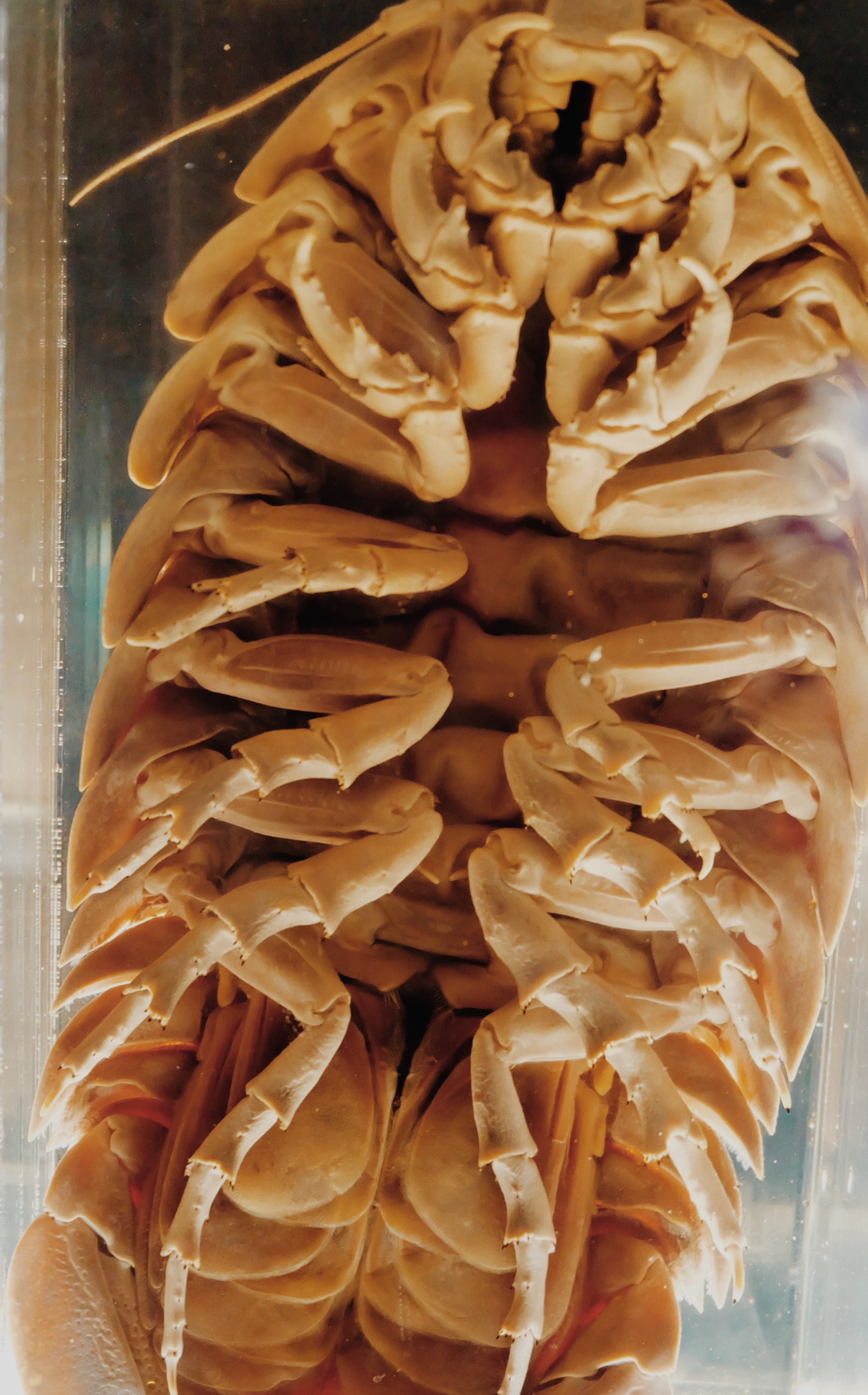 Processed with VSCO with m5 preset