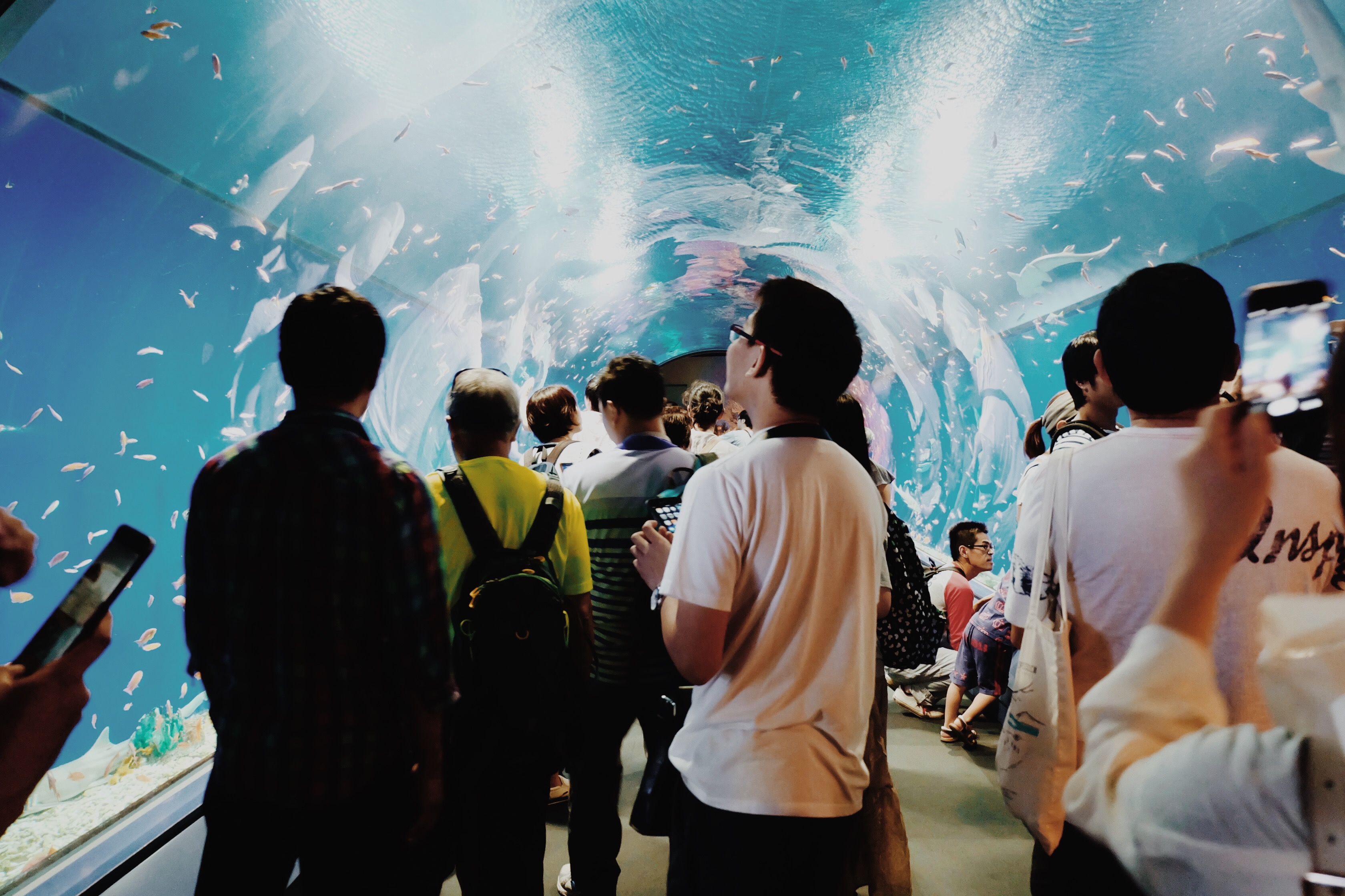 Processed with VSCO with m5 preset