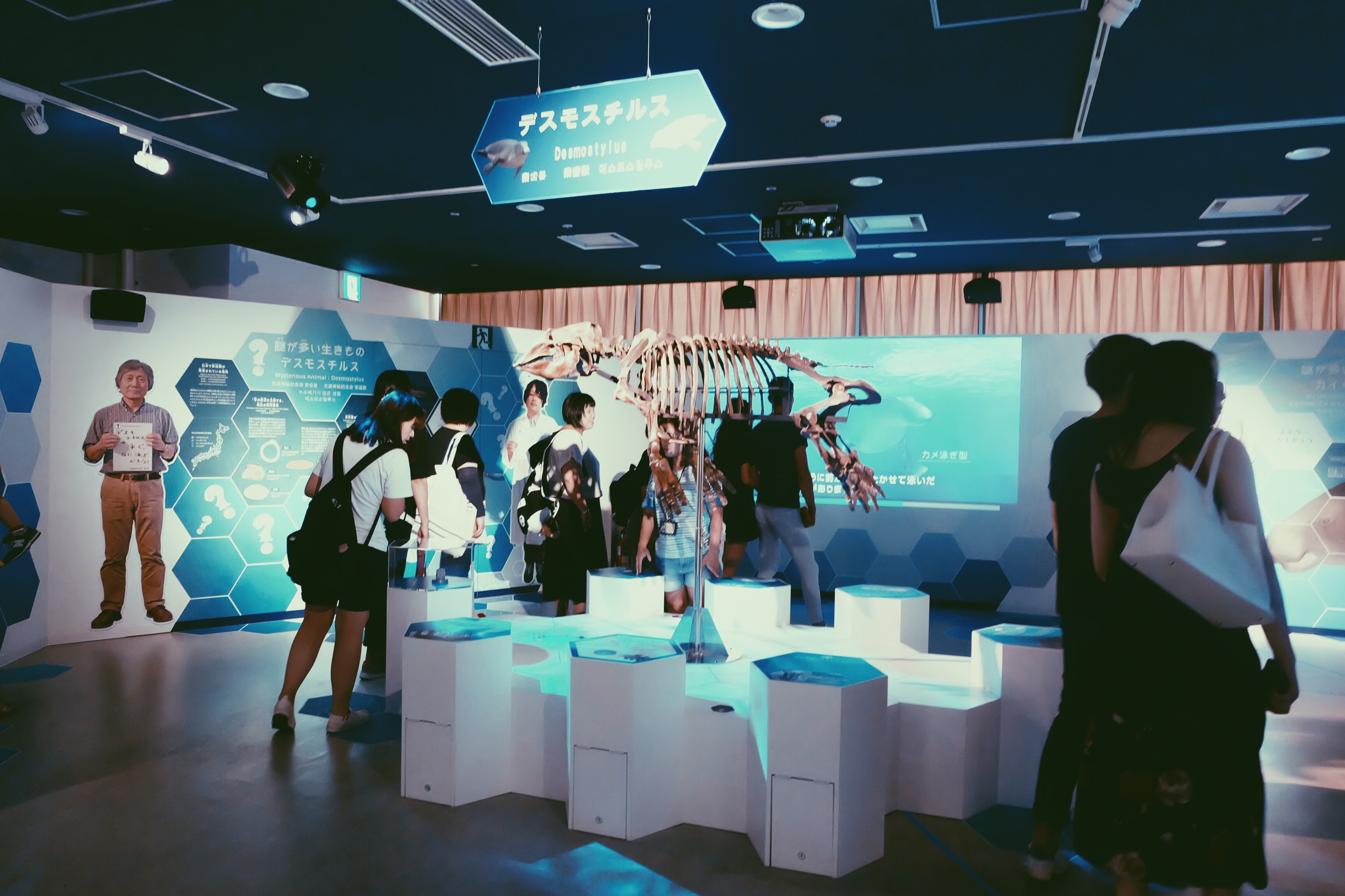 Processed with VSCO with p5 preset