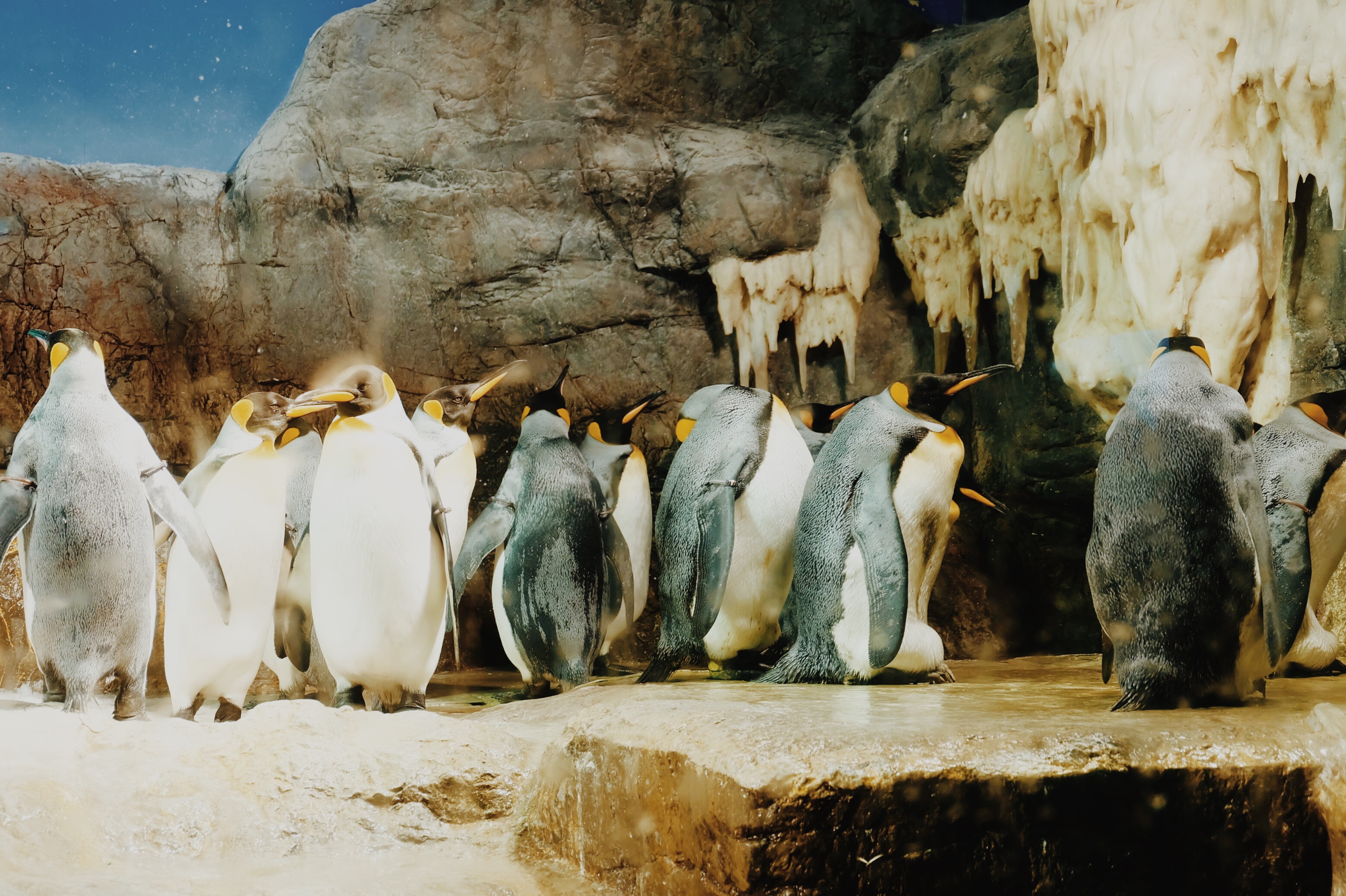 Processed with VSCO with m5 preset