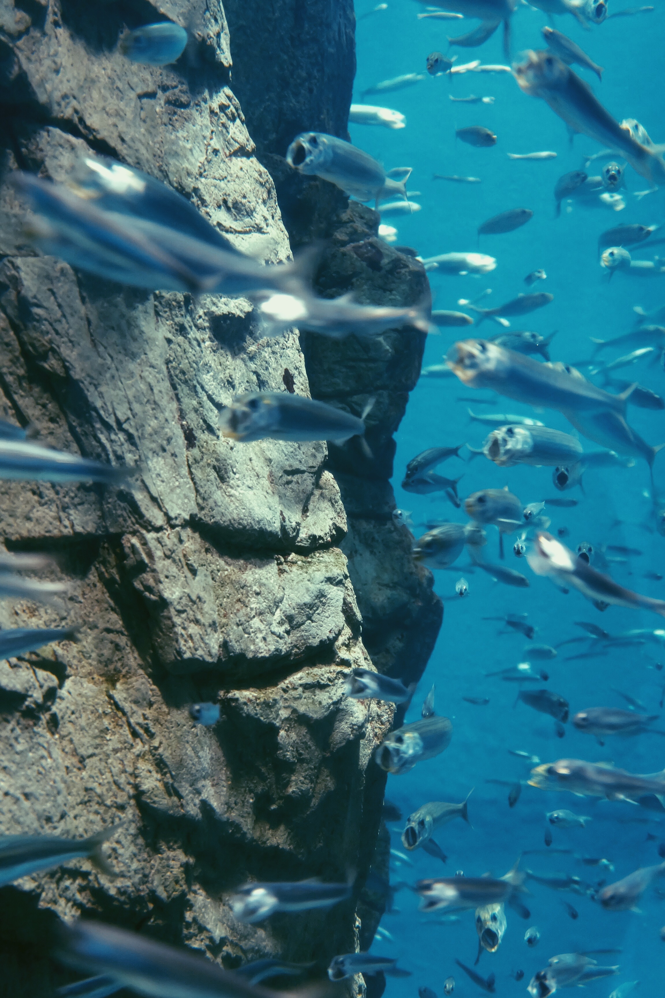 Processed with VSCO with p5 preset