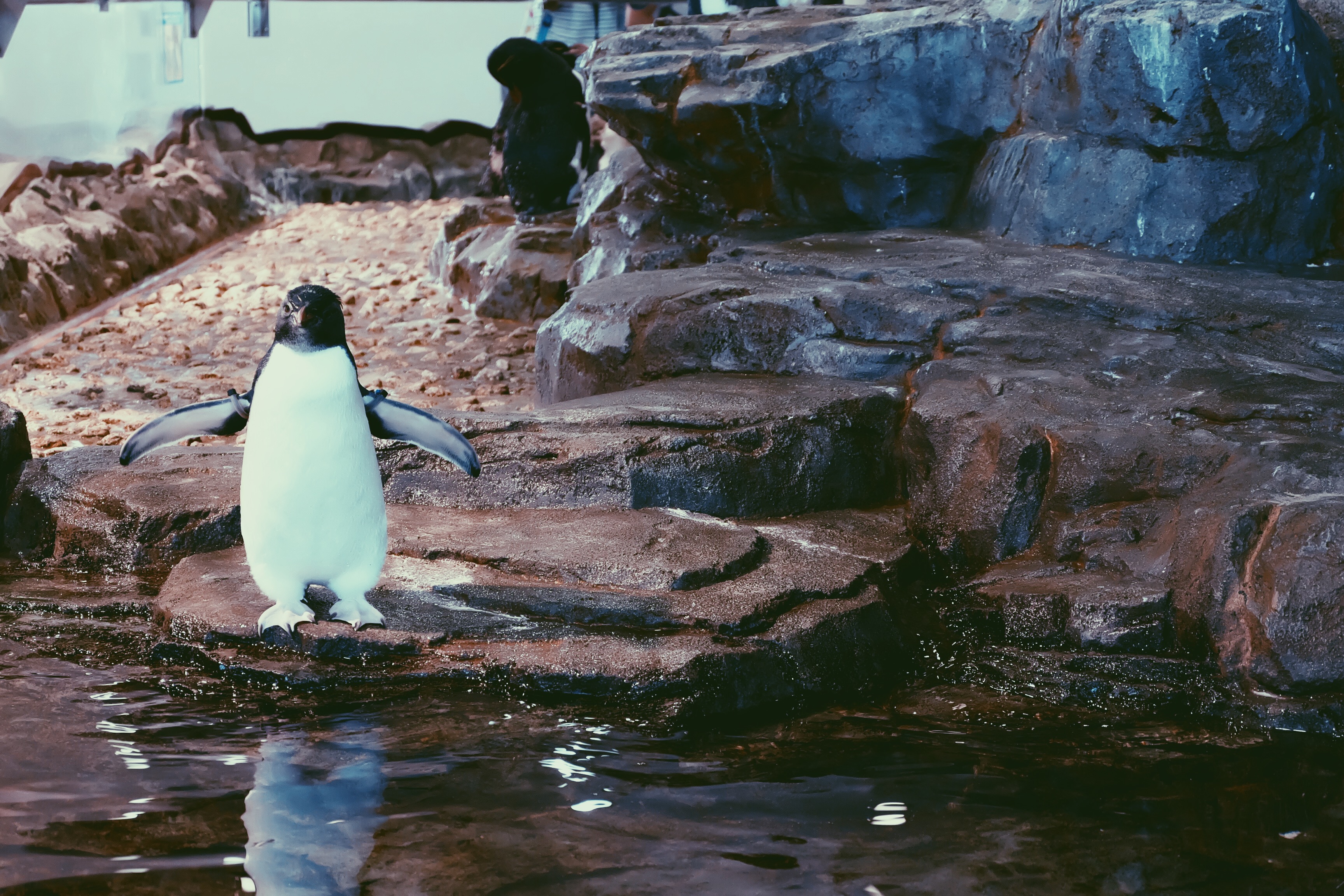 Processed with VSCO with p5 preset