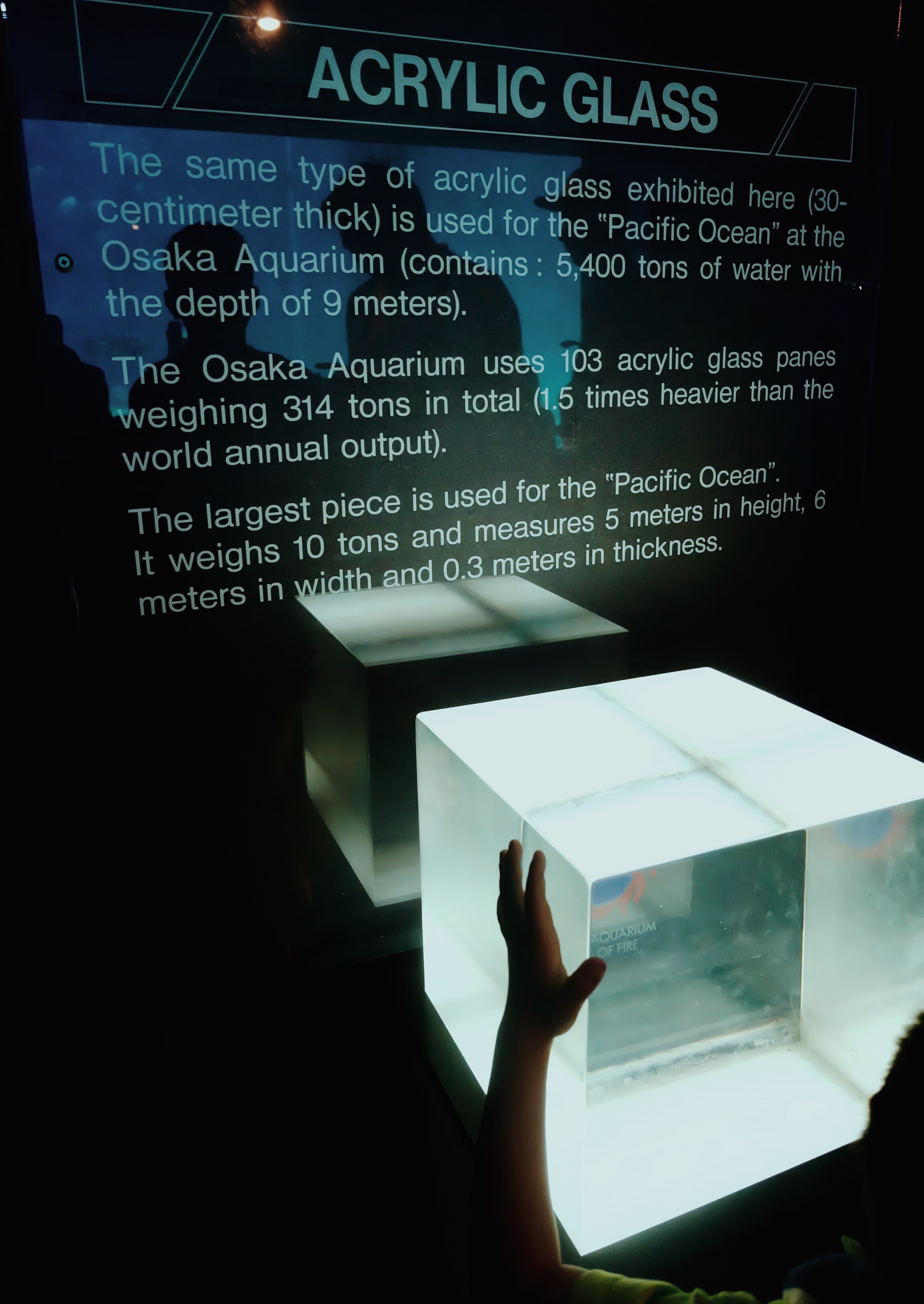 Processed with VSCO with m5 preset