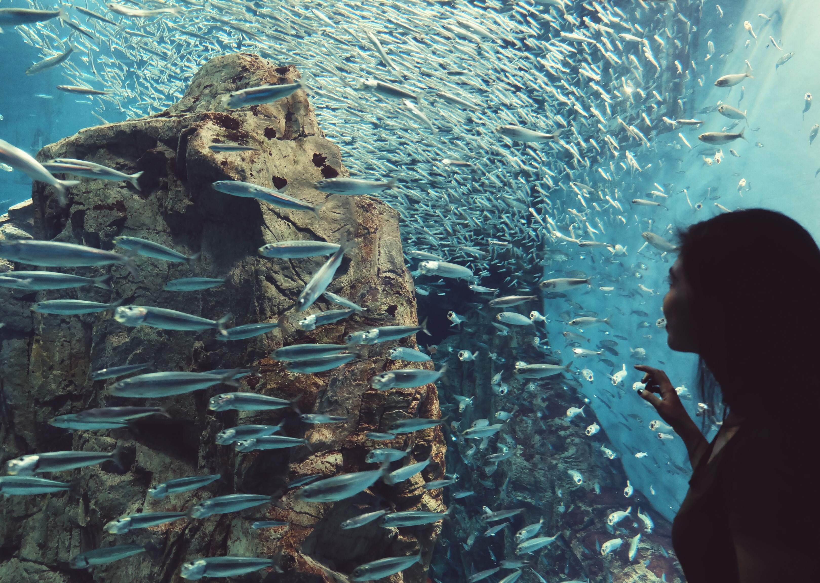 Processed with VSCO with acg preset