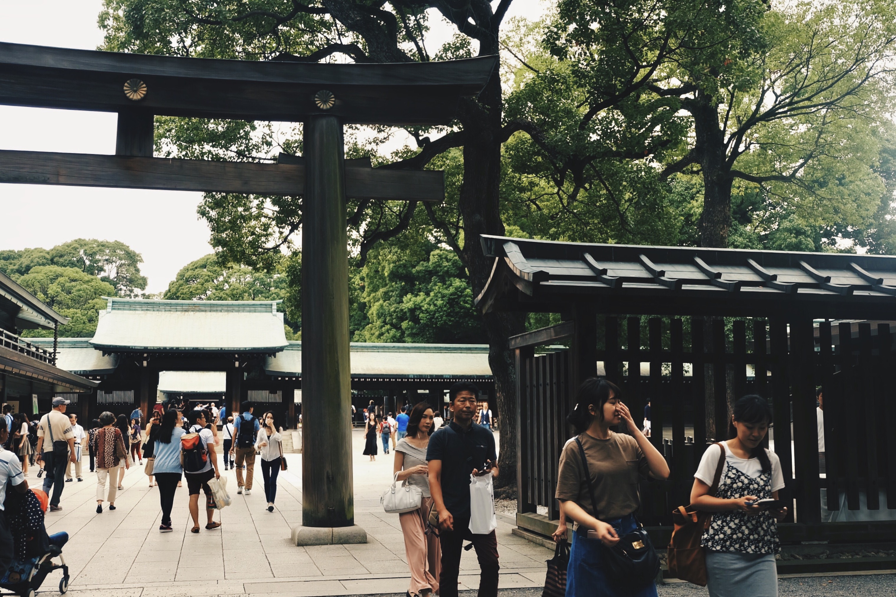 Processed with VSCO with hb2 preset