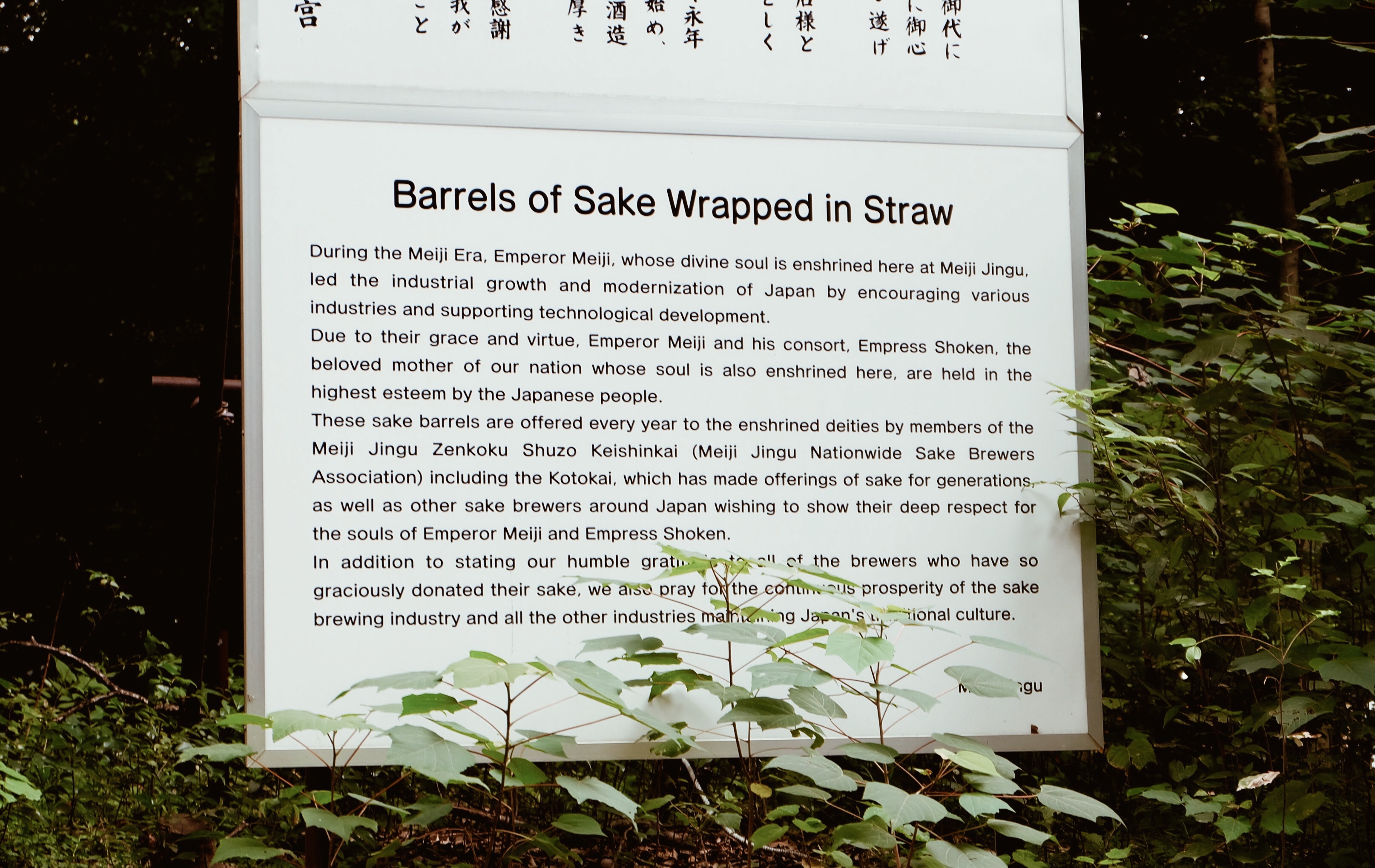 Processed with VSCO with a4 preset