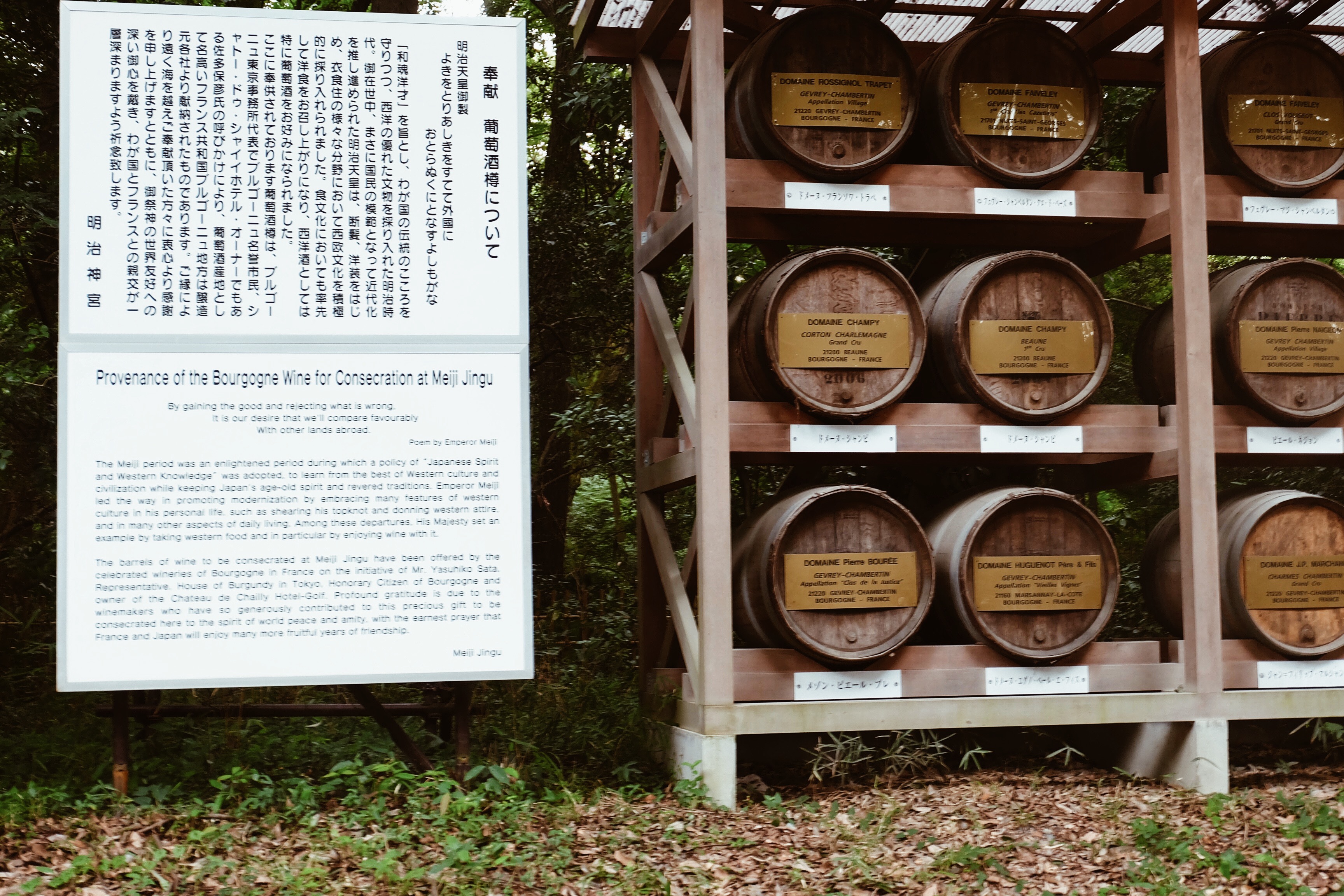 Processed with VSCO with a4 preset