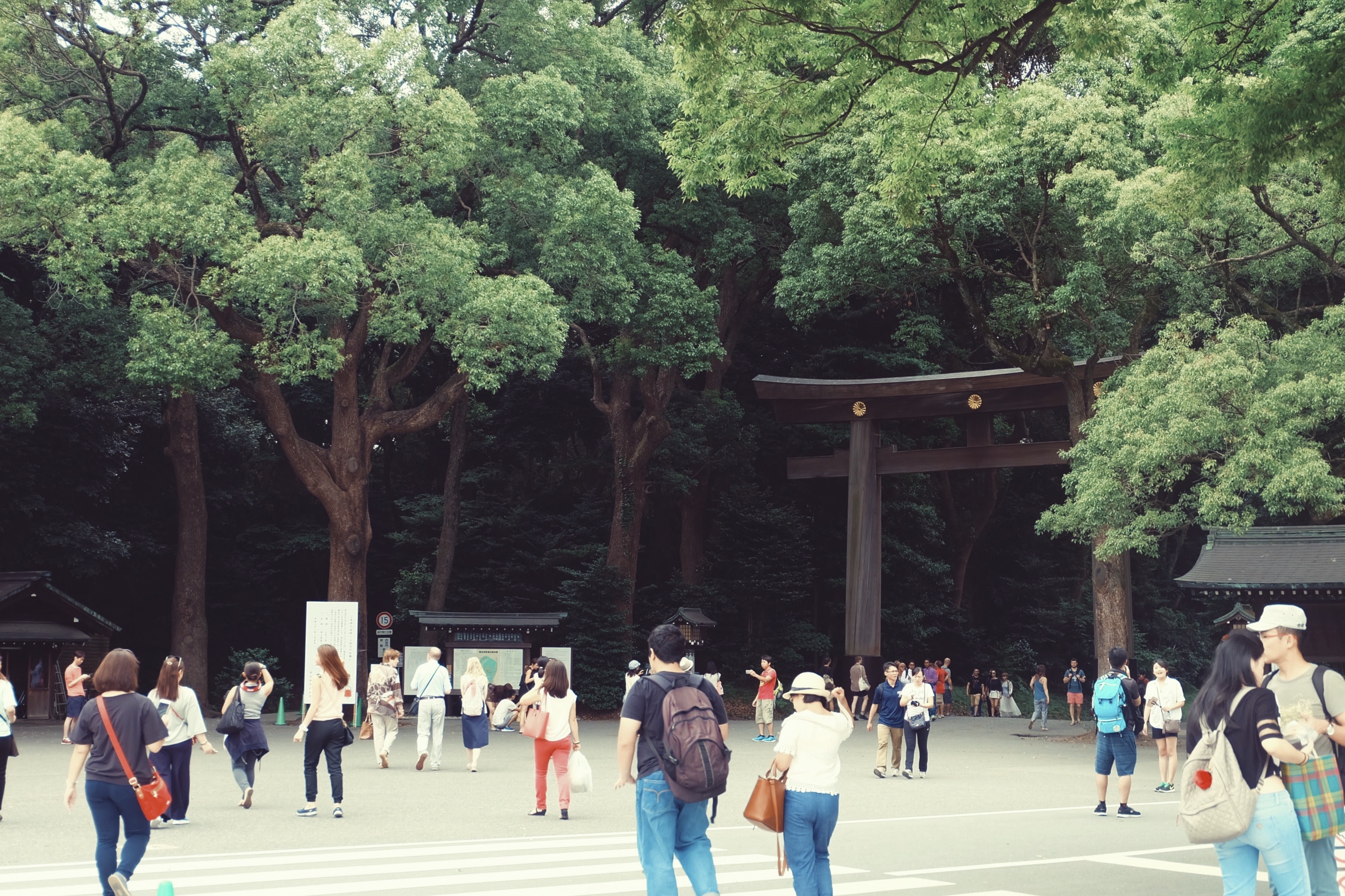 Processed with VSCO with acg preset