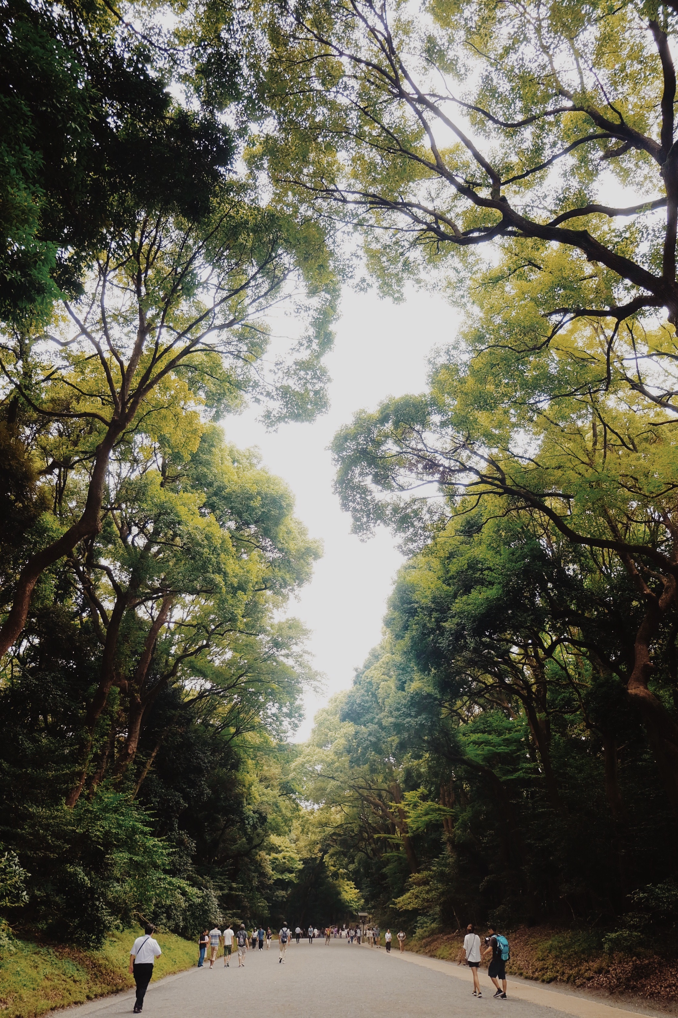 Processed with VSCO with m5 preset